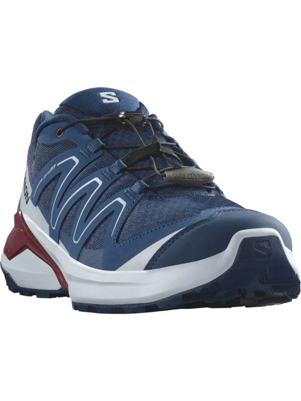 Moški trail tekaški copati Salomon Examotion